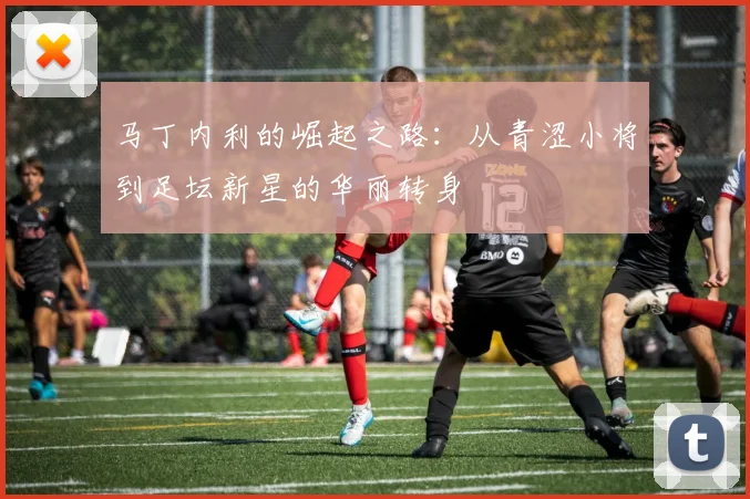 马丁内利的崛起之路：从青涩小将到足坛新星的华丽转身